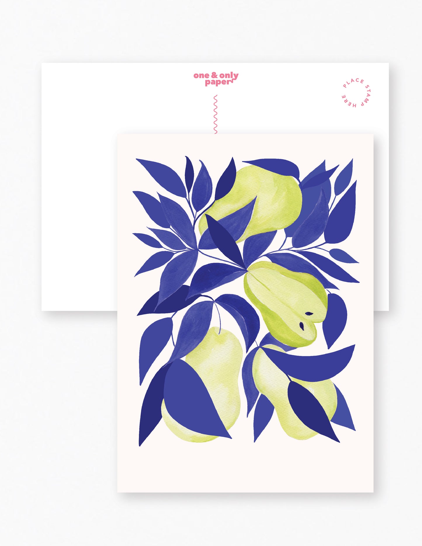 Fruits Assorted Postcards Set of 12