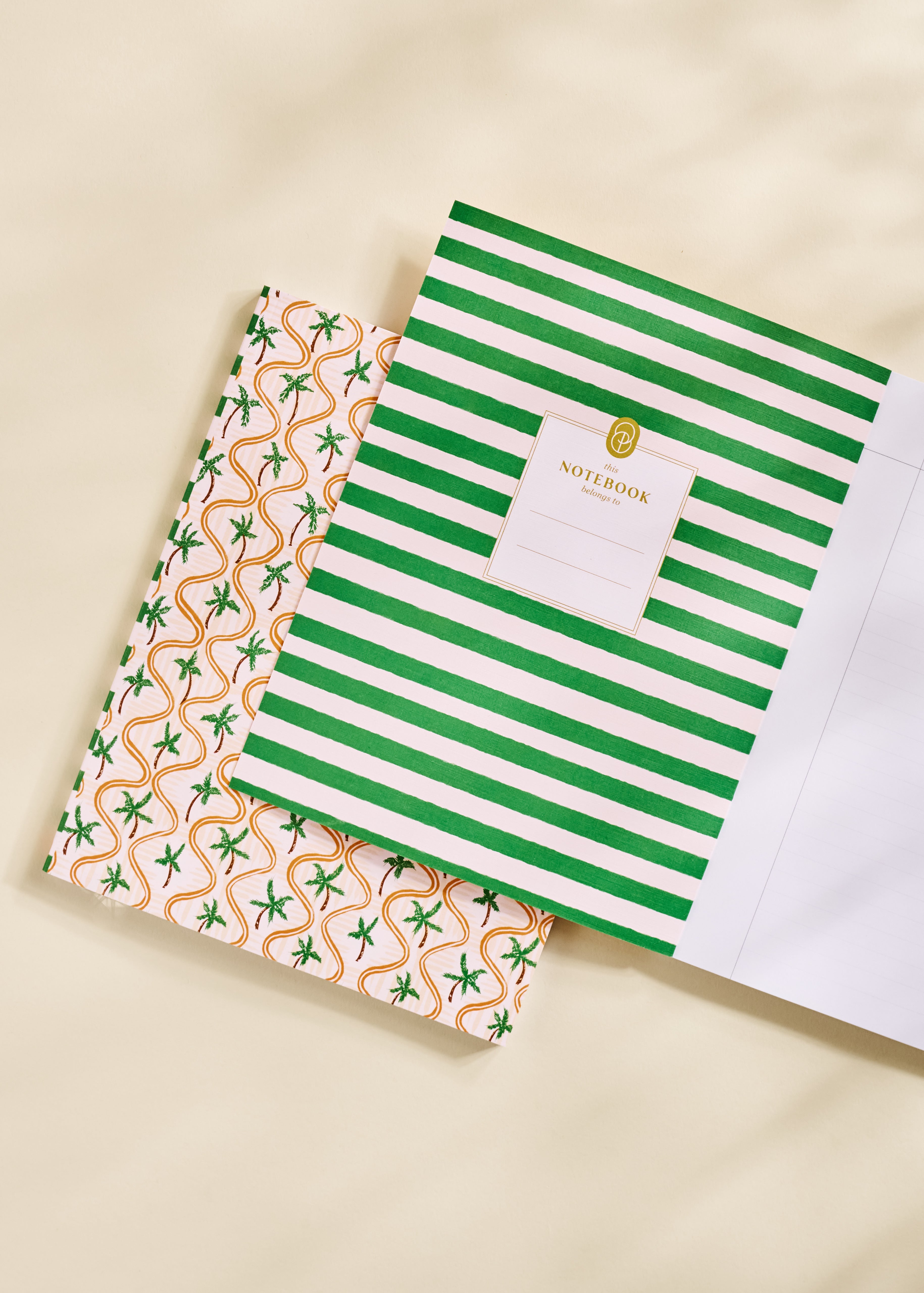 Notebooks + Journals