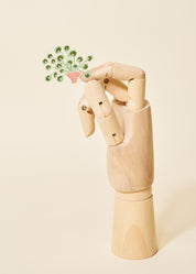 Pilea Transparent Sticker
