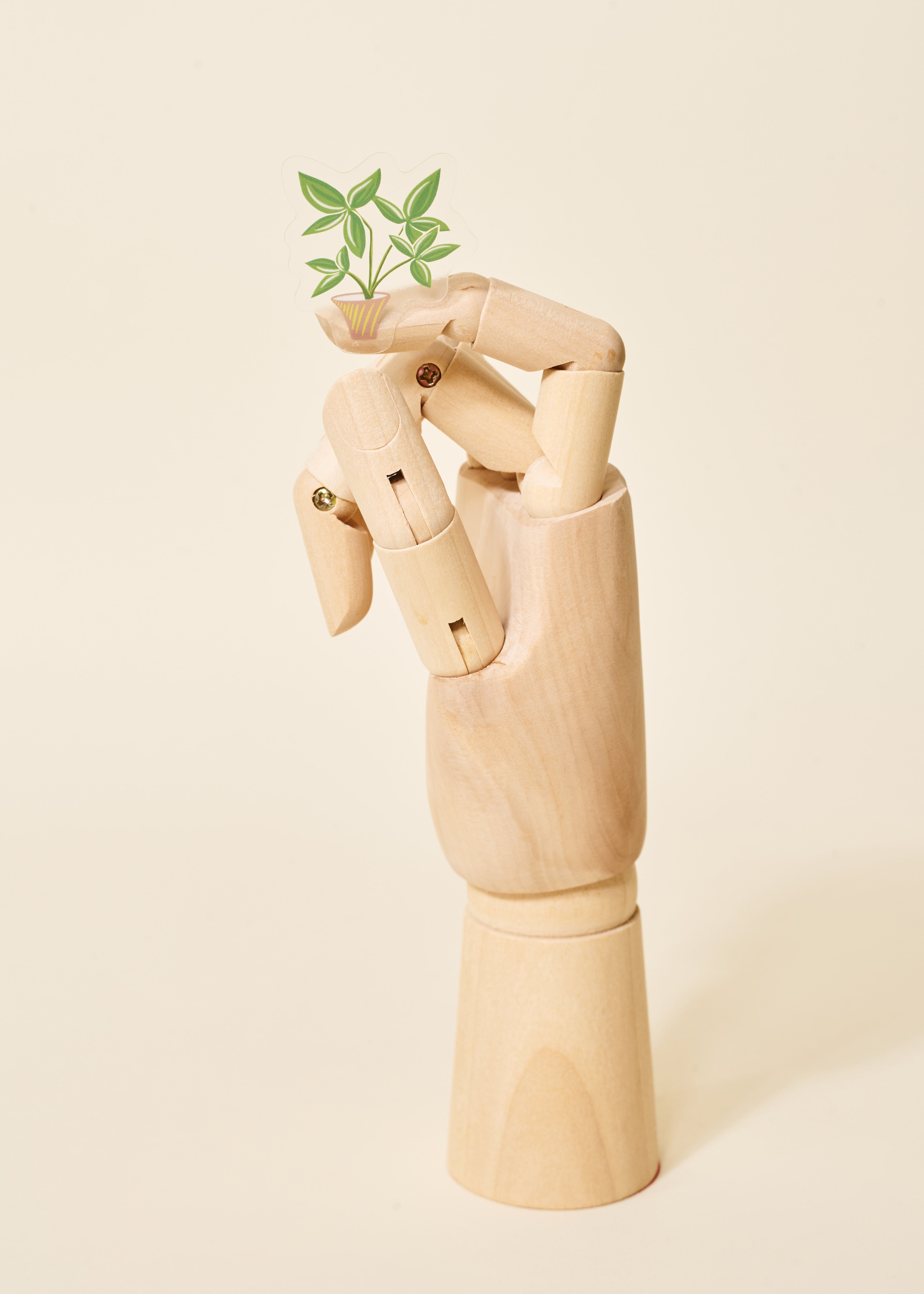Money Tree Transparent Sticker