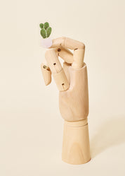 Cactus Transparent Sticker