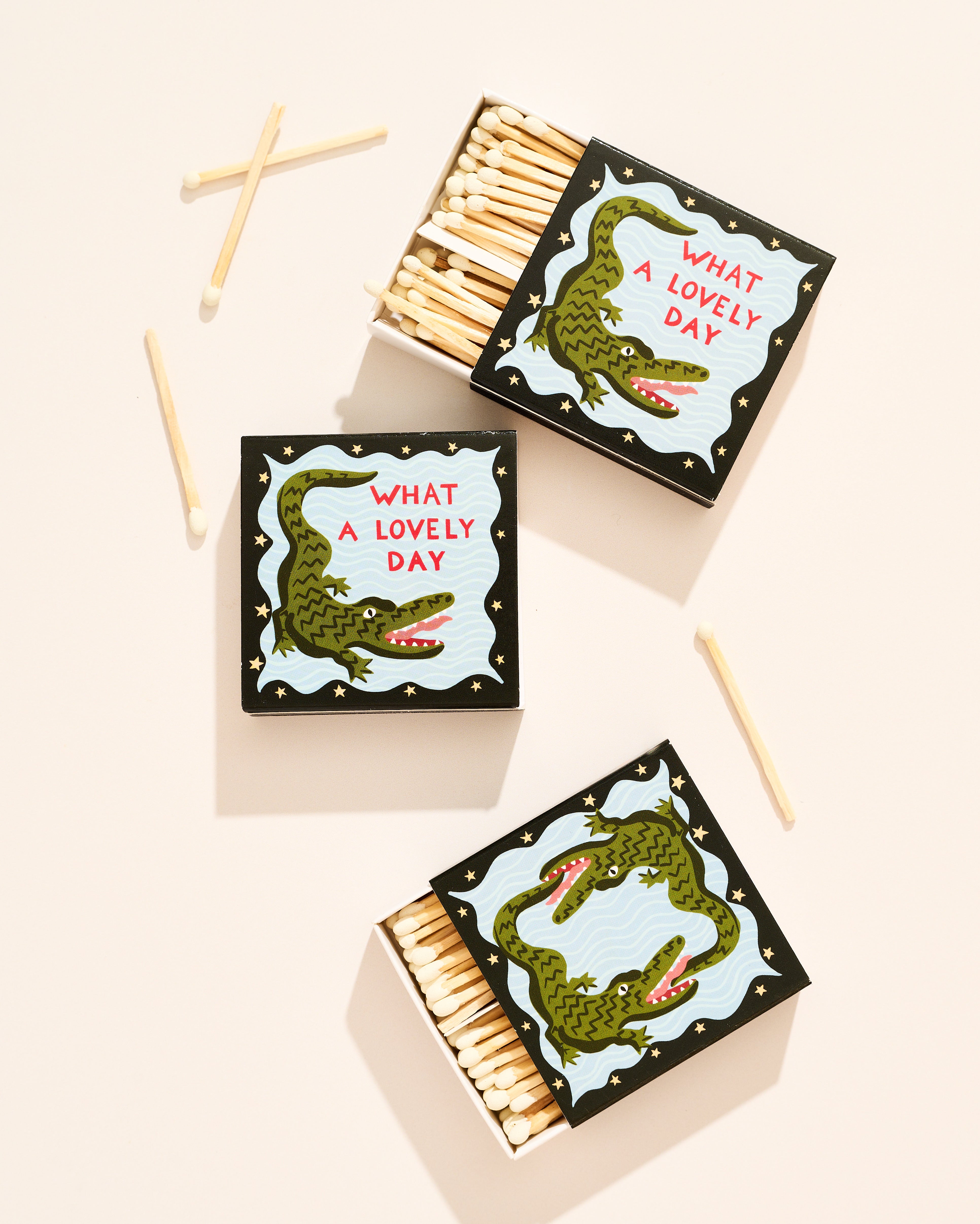 What A Lovely Day Alligator Matchbox