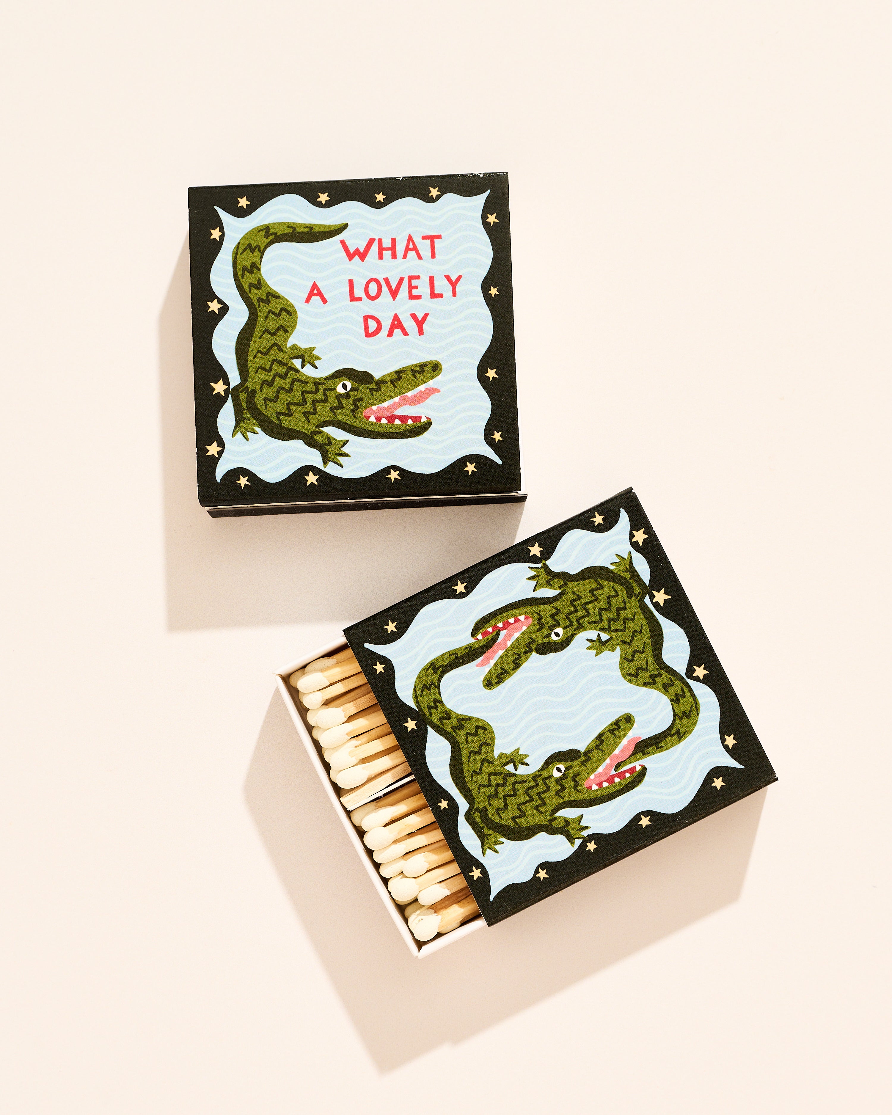 What A Lovely Day Alligator Matchbox
