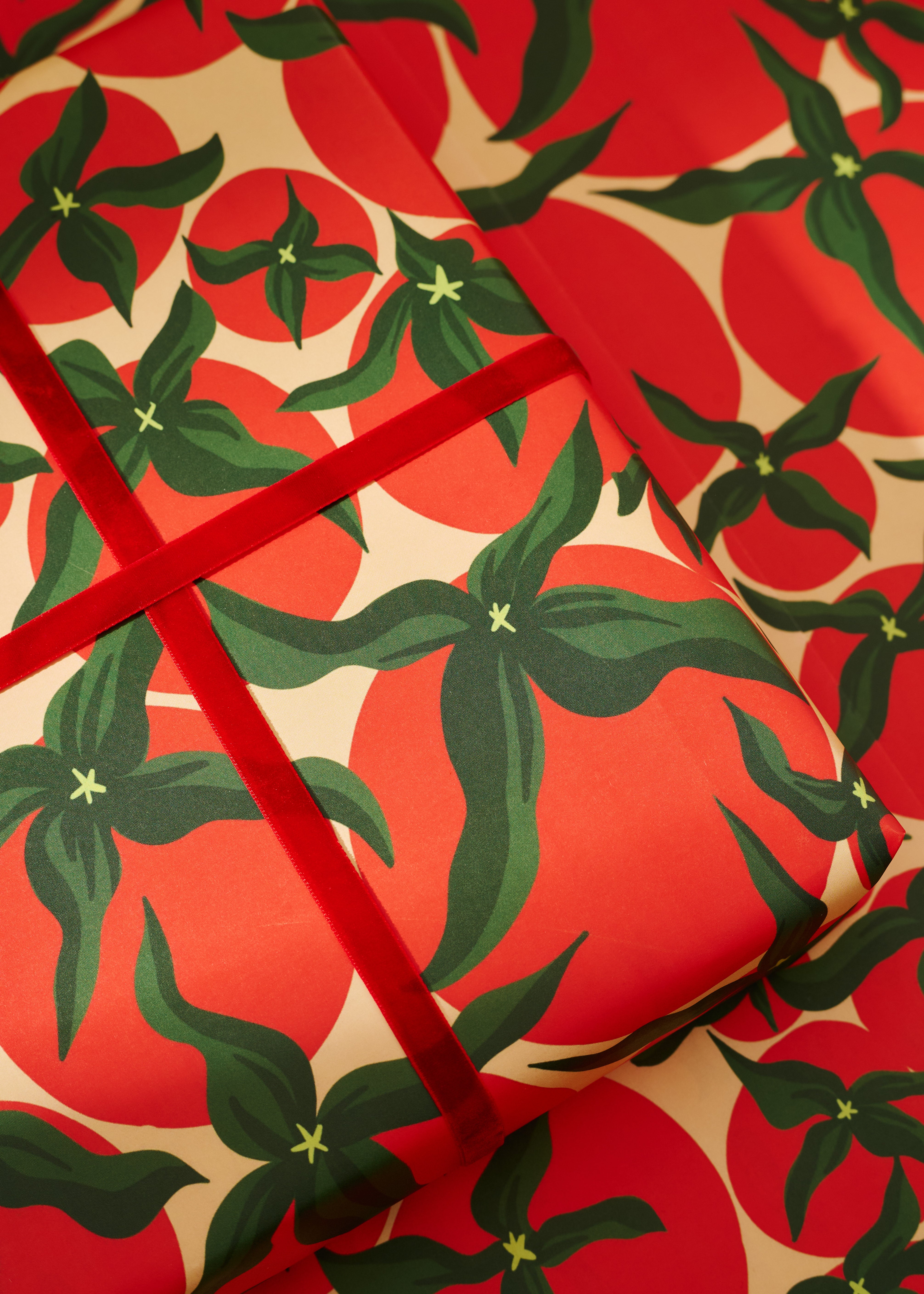 Squiggle Sardine Stripe and Tomato Double Sided Gift Wrap | Set of 3 Sheets