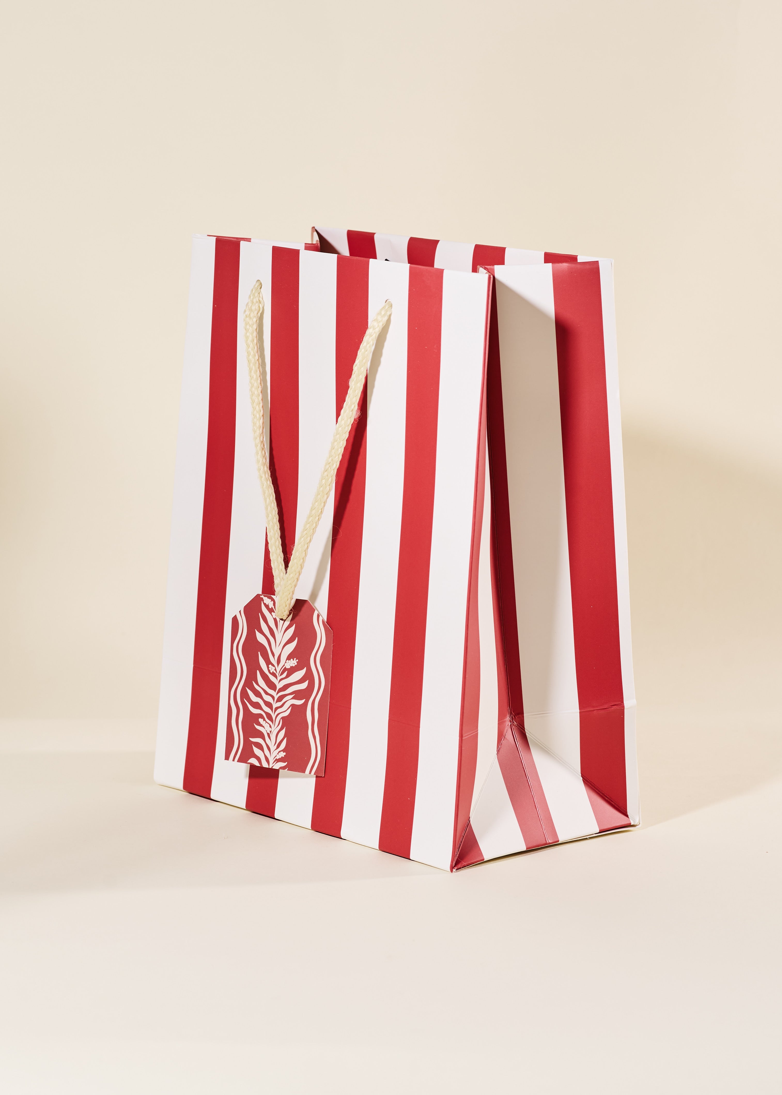 Red Stripe Medium Paper Gift Bag