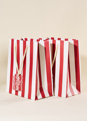 Red Stripe Medium Paper Gift Bag