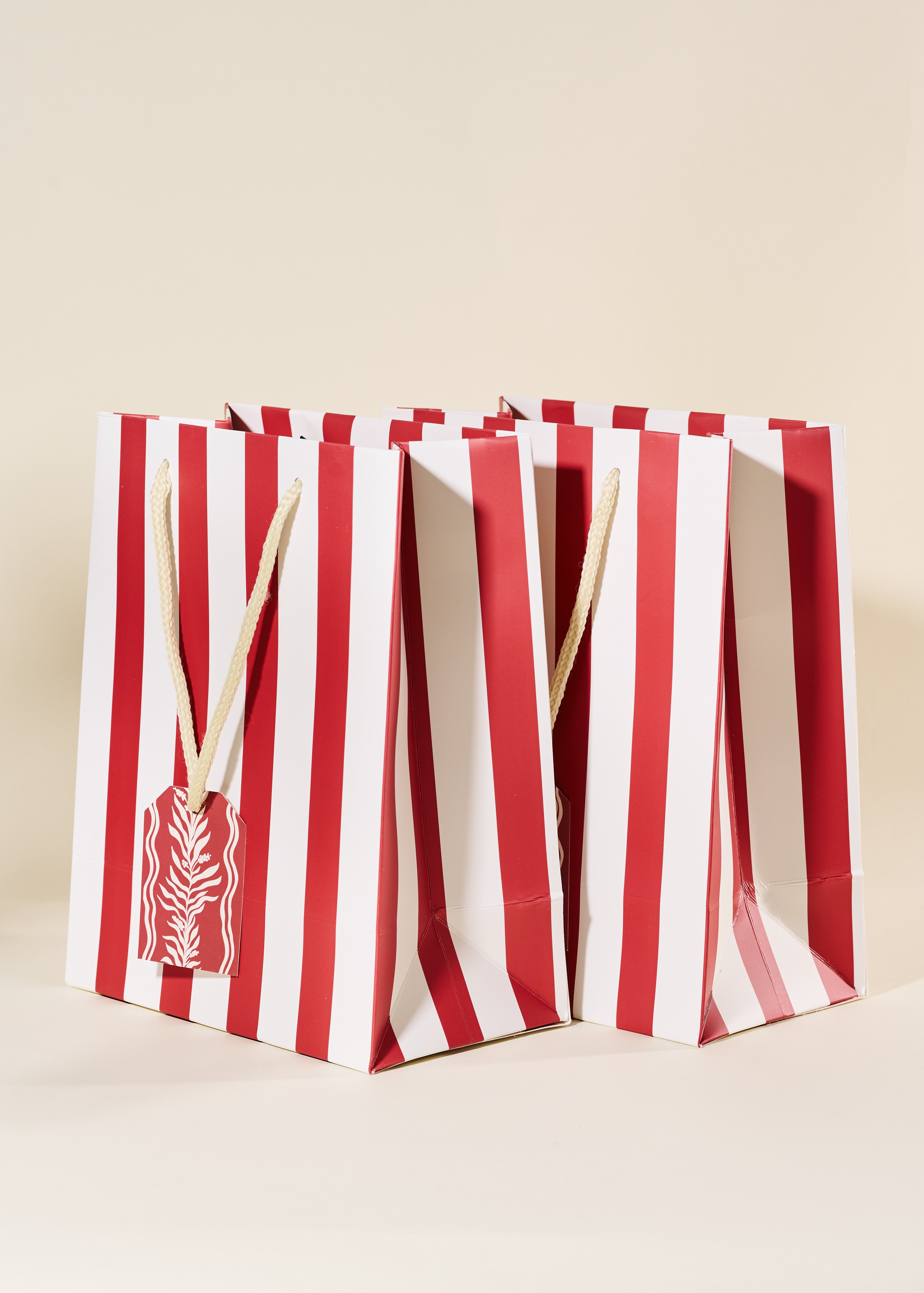 Red Stripe Medium Paper Gift Bag
