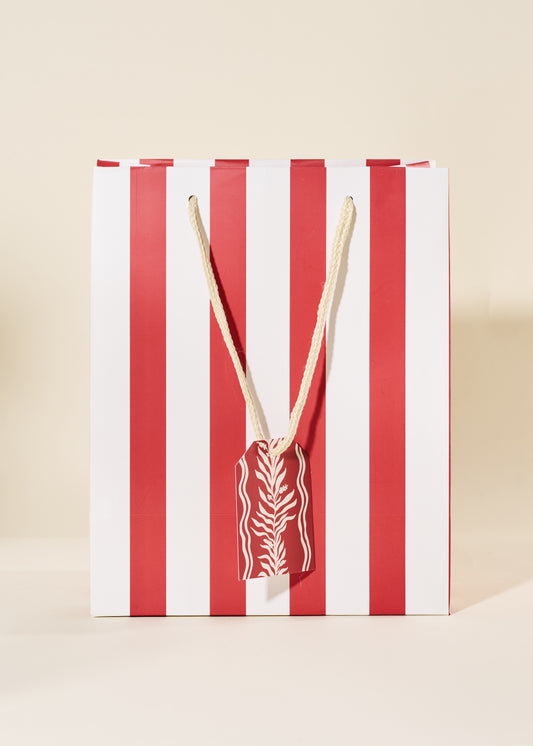 Red Stripe Medium Paper Gift Bag