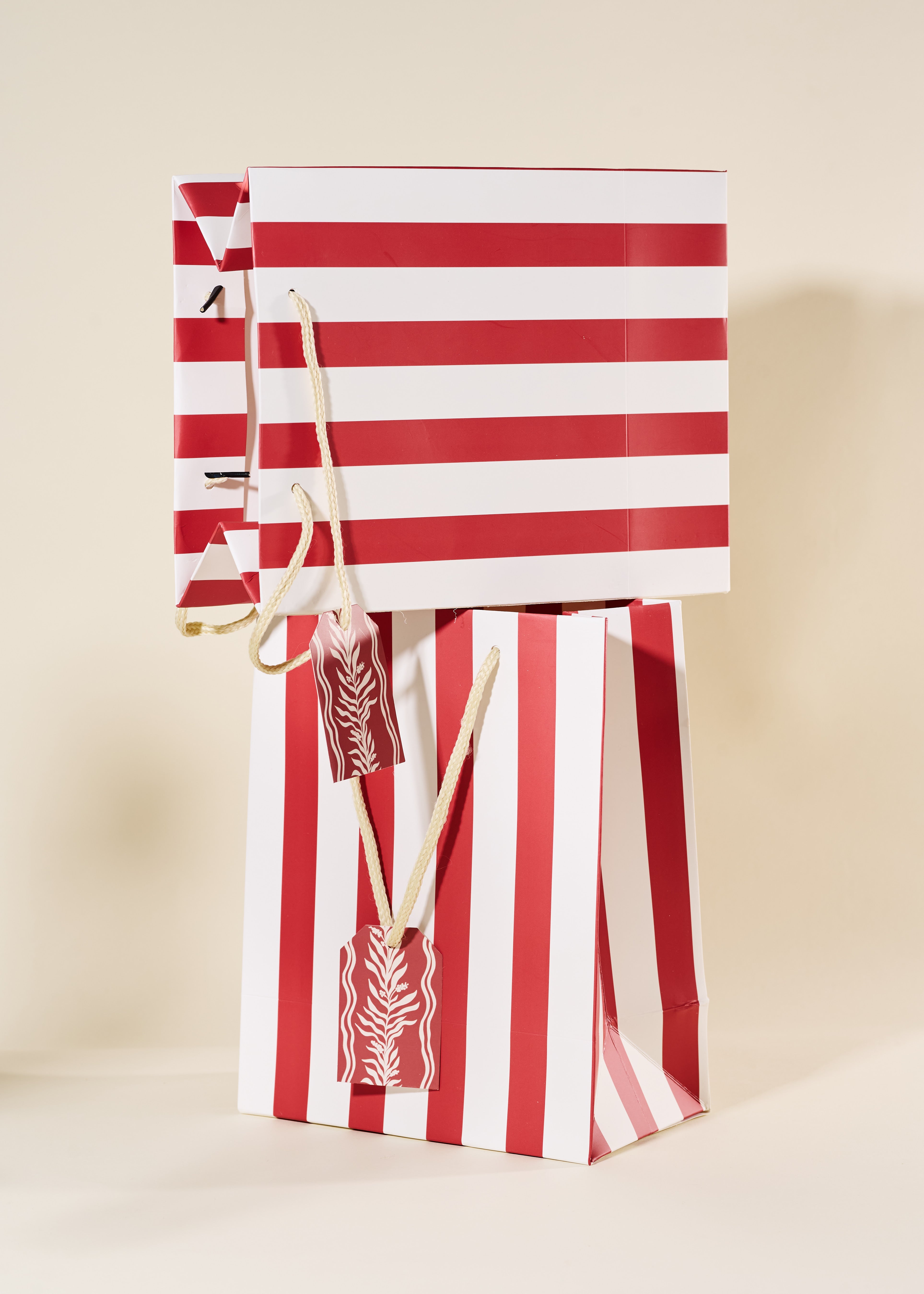 Red Stripe Medium Paper Gift Bag