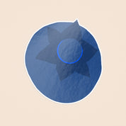 Blueberry Illustrated Sticker