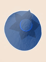 Blueberry Illustrated Sticker