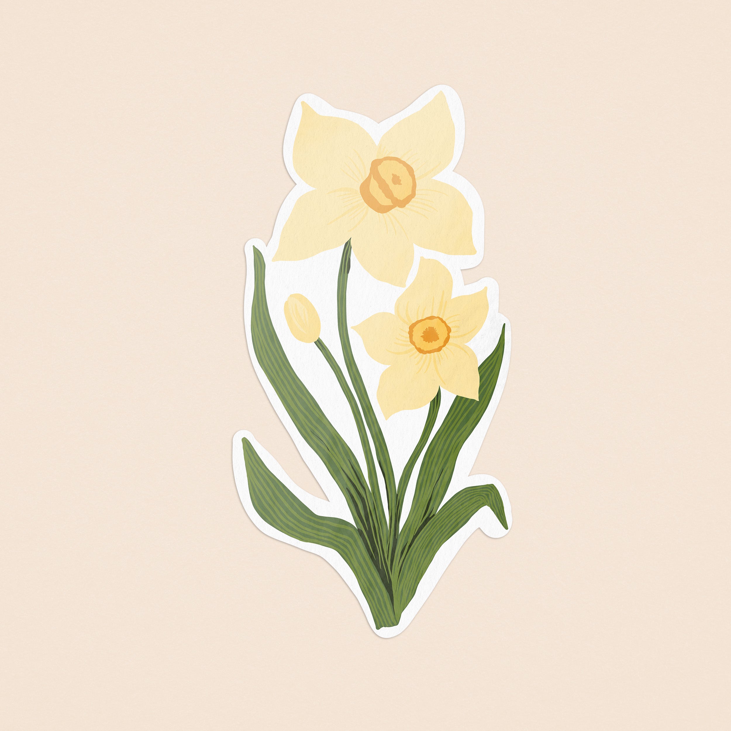 daffodil-cream.jpg