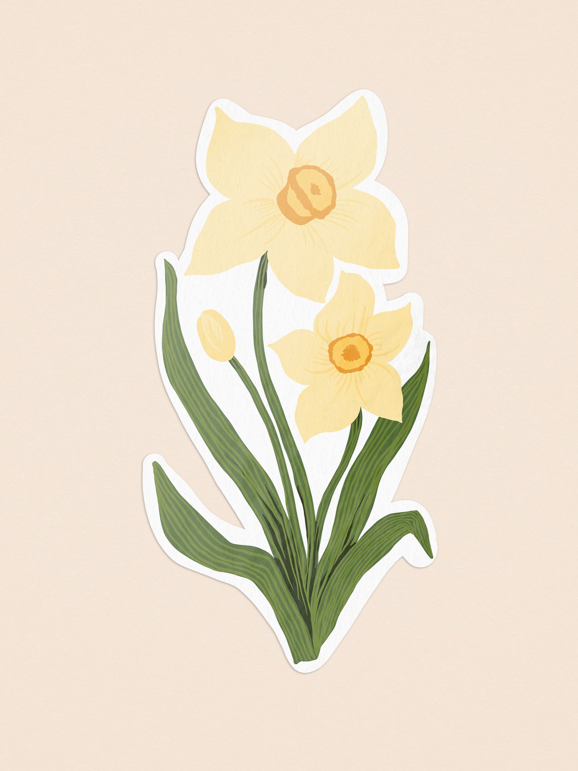 daffodil-cream_1_-_Edited.jpg