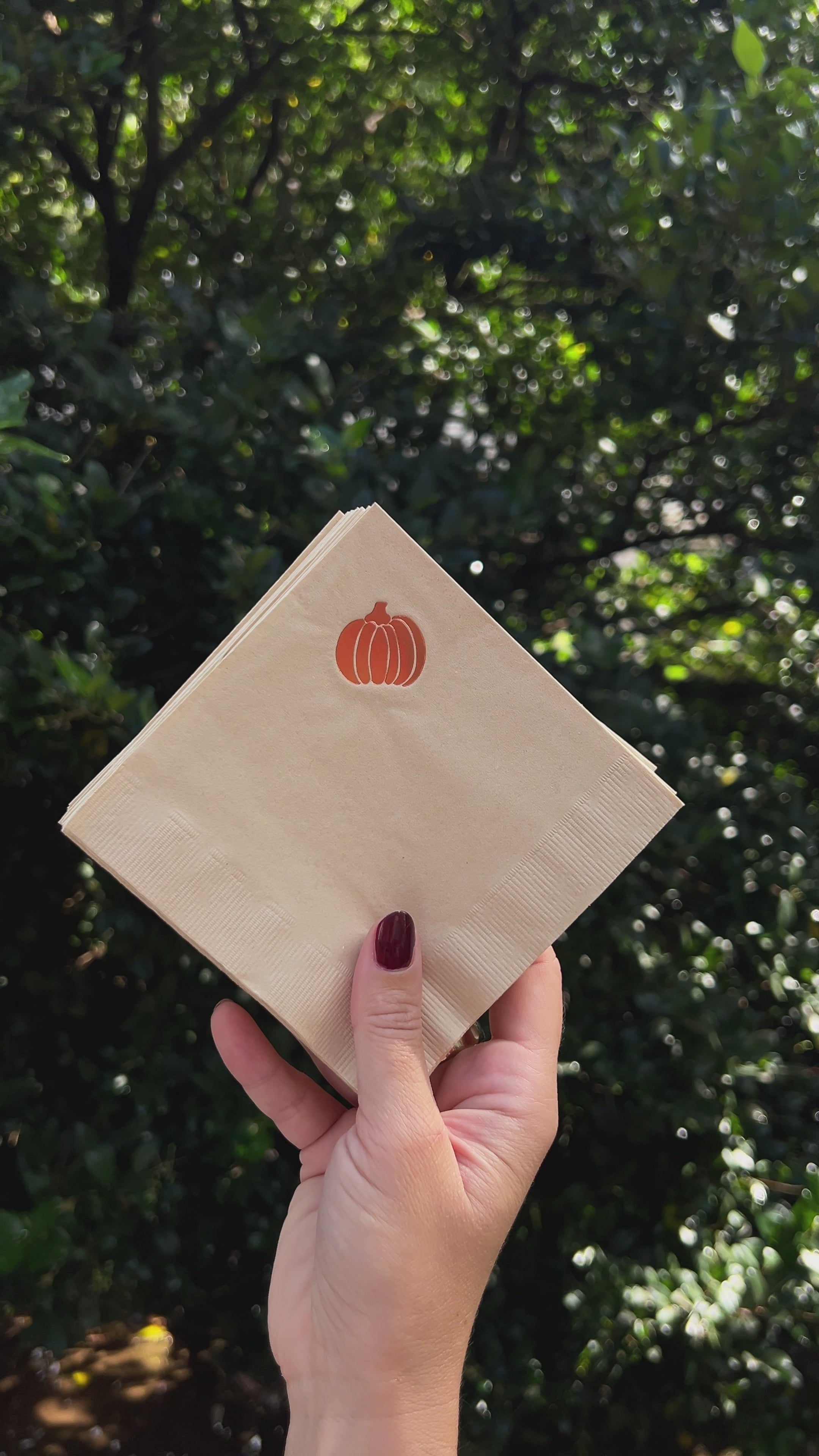 Pumpkin Copper Beverage Napkin - Set of 20