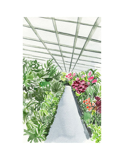 Lush Greenhouse Art Print